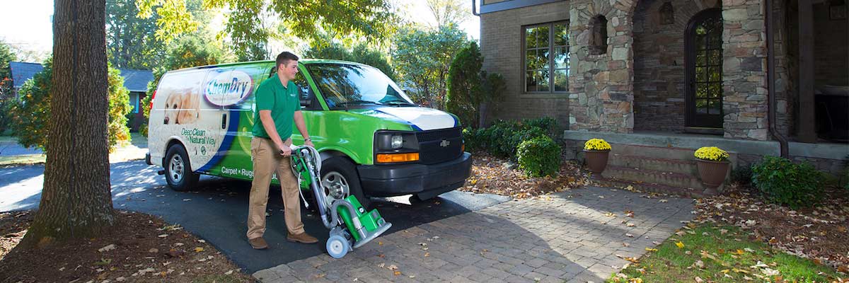 Viking Chem-Dry Professional Carpet Cleaning Services in Plymouth, MN