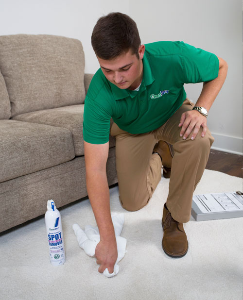 Chem-Dry technician removing stain from carpet
