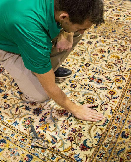 Professional Area and Oriental Rug Cleaning in Plymouth, MN by Viking Chem-Dry