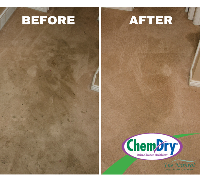 before and after carpet cleaning images from Harborside Chem-Dry Carpet cleaners in Rye Ny