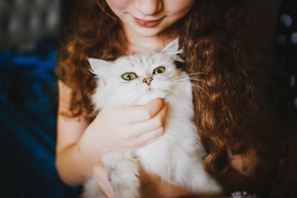 girl holding white cat in Farmington Hills MI