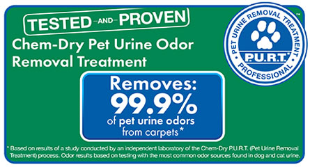 Viking Chem-Dry removes pet urine odor in the Plymouth, MN area
