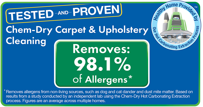 Scottsdale Carpet Cleaning  Chem-Dry of Scottsdale and Paradise Valley