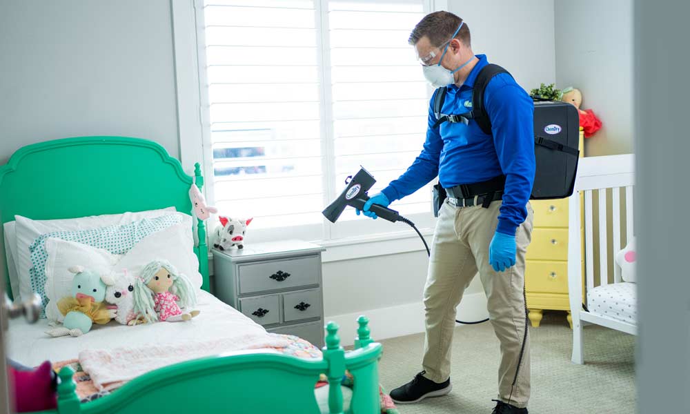 Carpet Cleaning by Chem-Dry