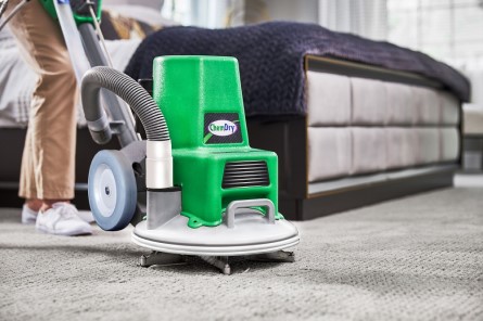 Professional Carpet Upholstery Cleaner Athens Ga Chem Dry